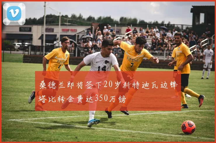 桑德兰即将签下20岁科特迪瓦边锋塔比转会费达350万镑