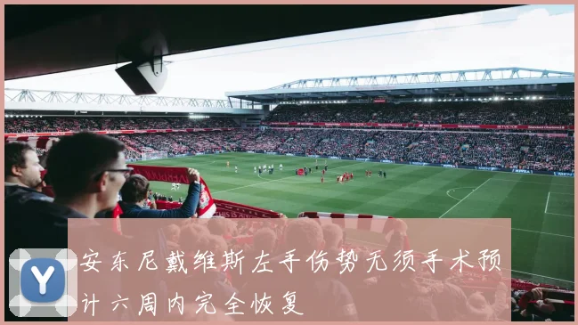安东尼戴维斯左手伤势无须手术预计六周内完全恢复