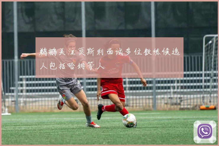 鹈鹕关注莫斯利面试多位教练候选人包括哈姆等人